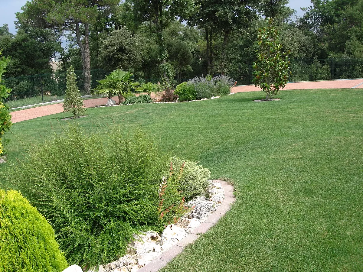 jardin dise帽o Dise帽o de jardines Alicante