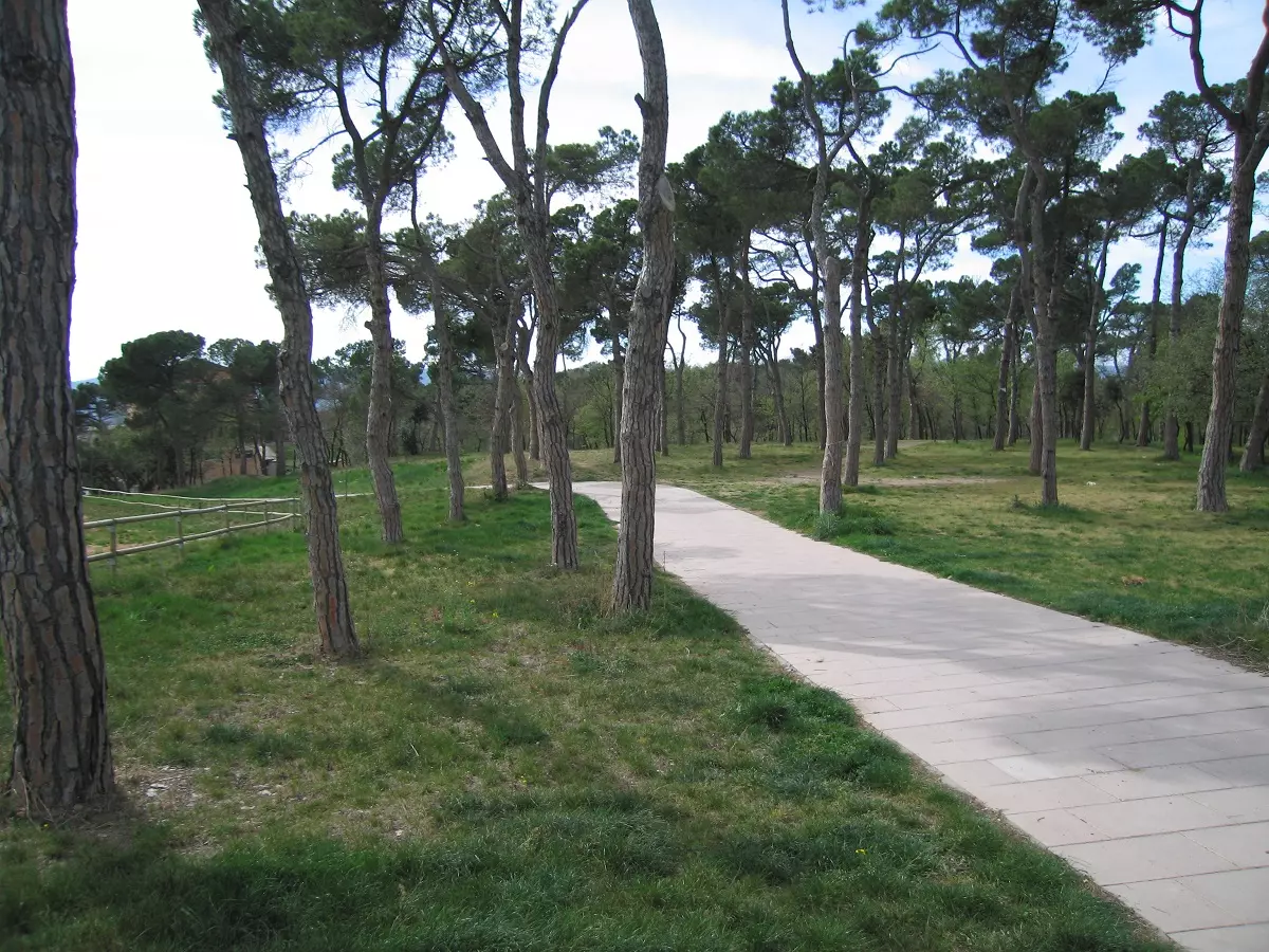 servicios de jardineria Dise帽o de parques Alicante
